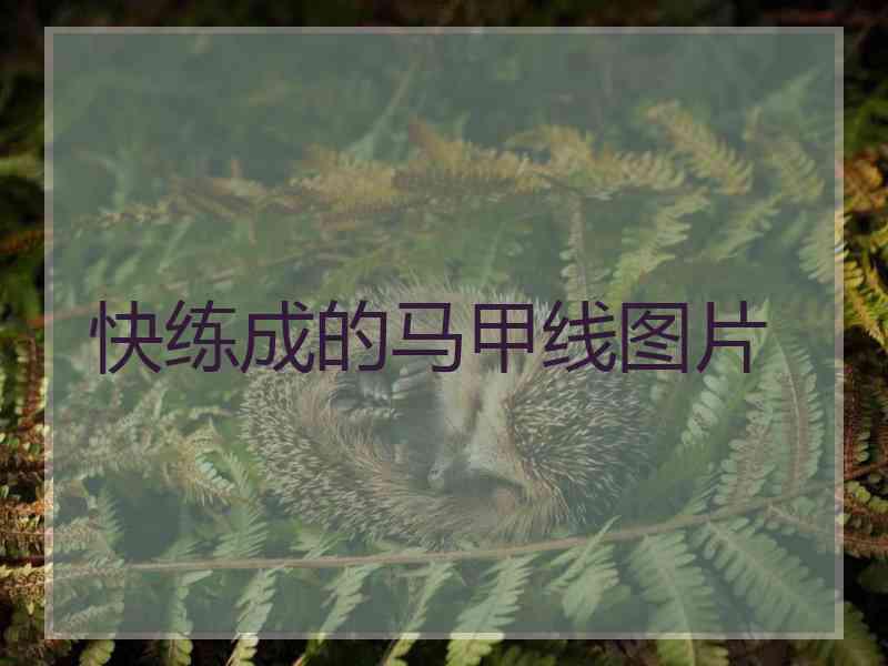 快练成的马甲线图片