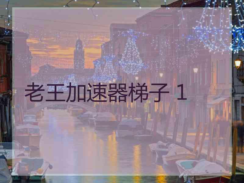 老王加速器梯子 1