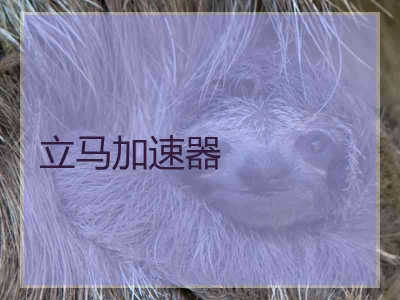 立马加速器