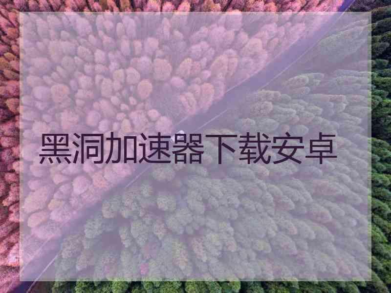 黑洞加速器下载安卓