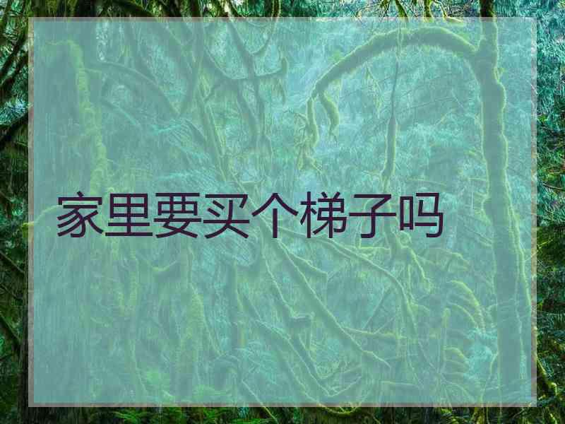 家里要买个梯子吗