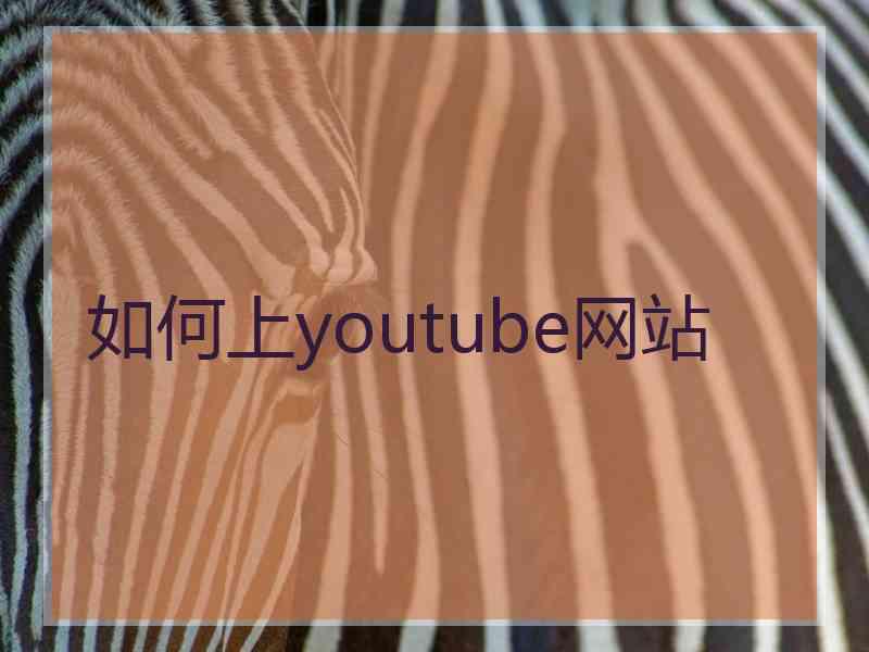 如何上youtube网站