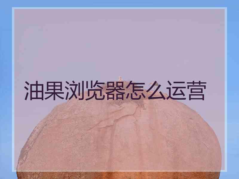 油果浏览器怎么运营
