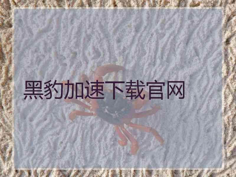 黑豹加速下载官网