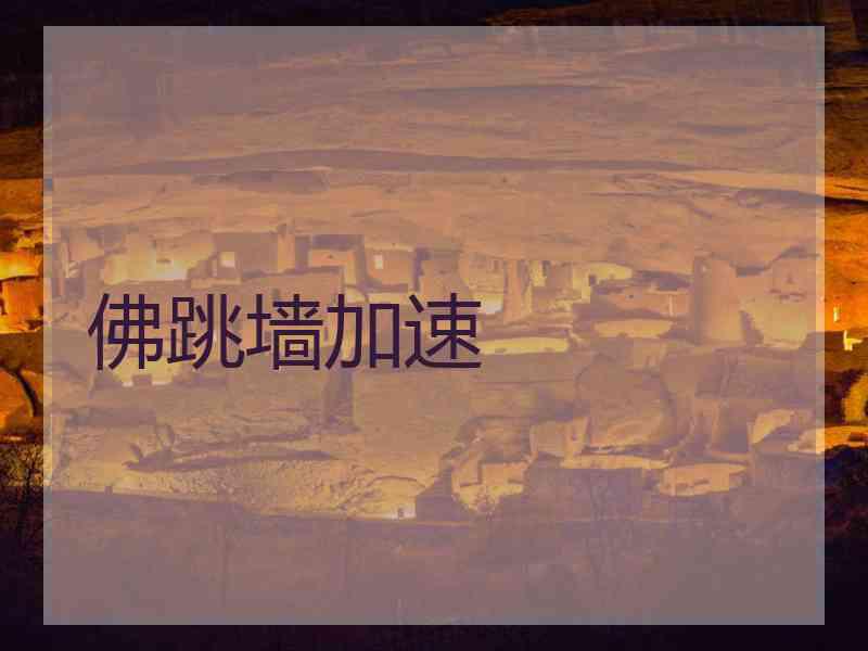 佛跳墙加速