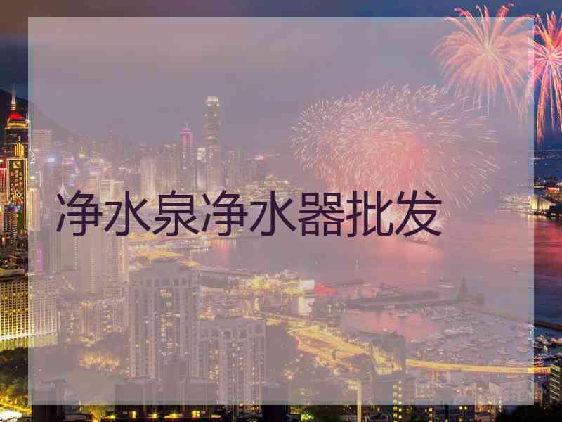 净水泉净水器批发