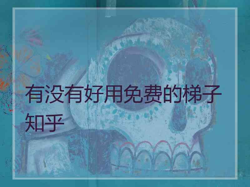 有没有好用免费的梯子 知乎