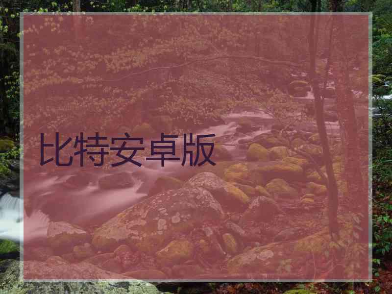 比特安卓版