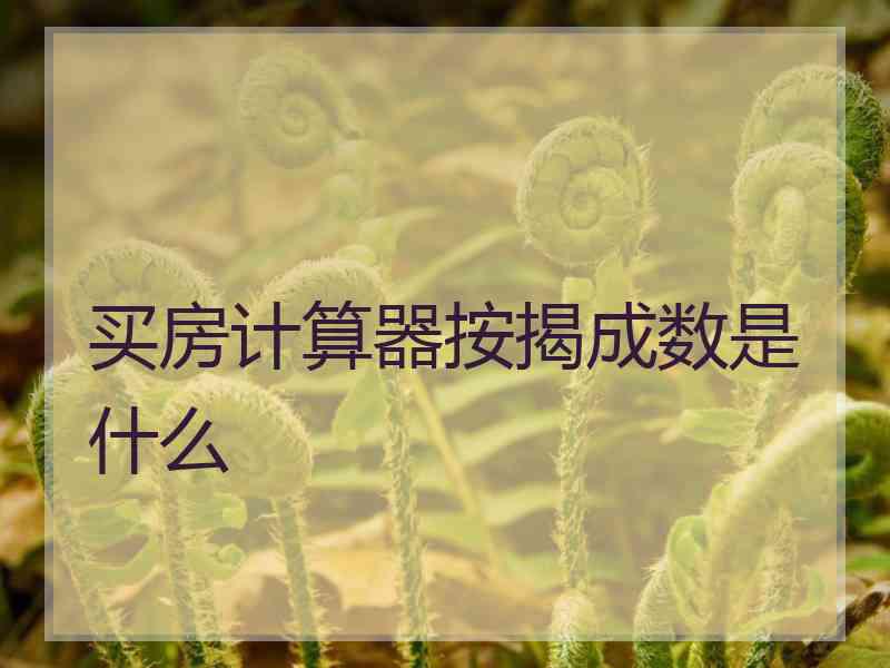 买房计算器按揭成数是什么