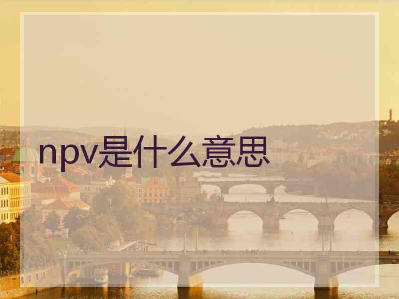 npv是什么意思