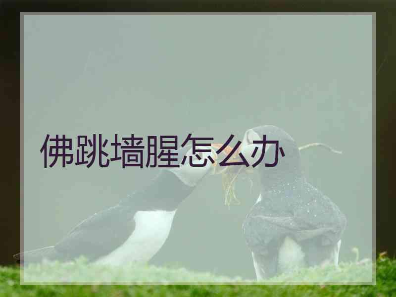 佛跳墙腥怎么办