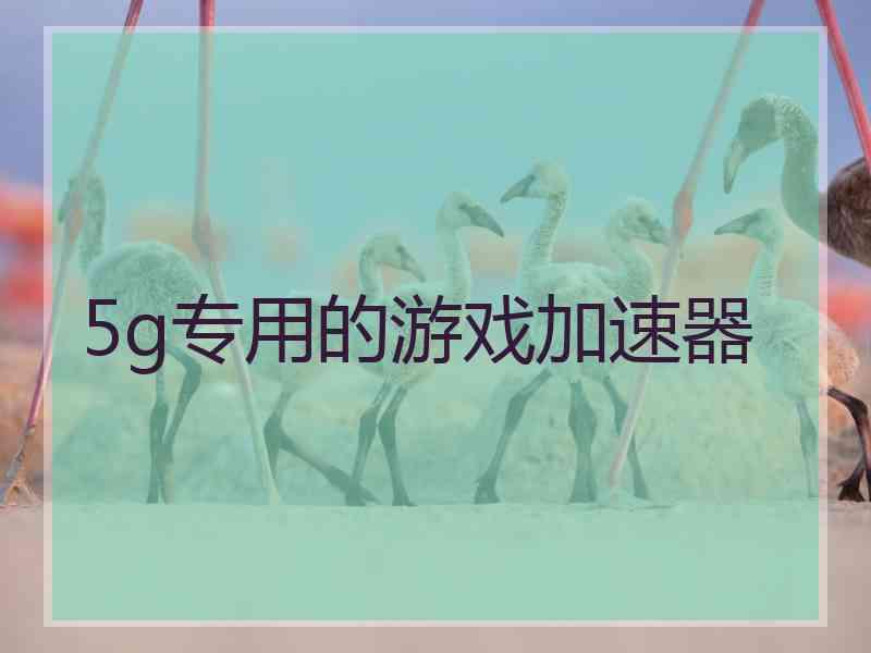 5g专用的游戏加速器