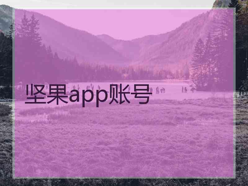 坚果app账号