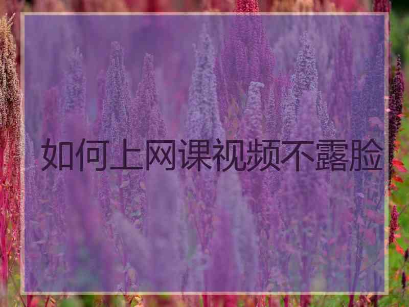 如何上网课视频不露脸