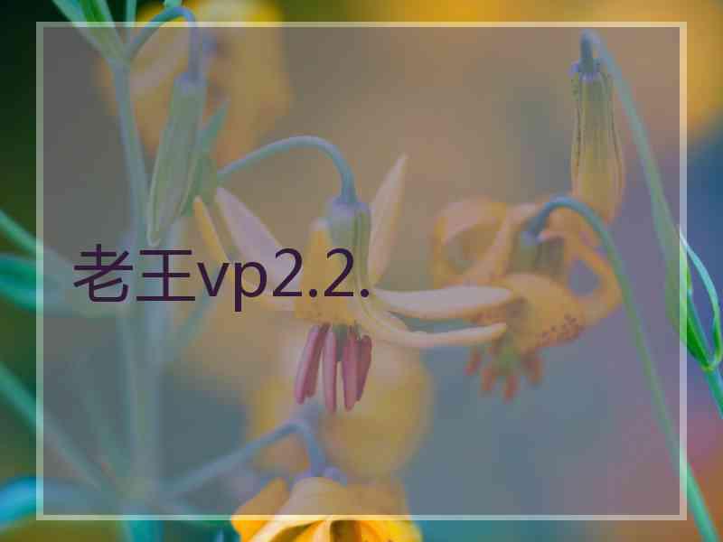 老王vp2.2.
