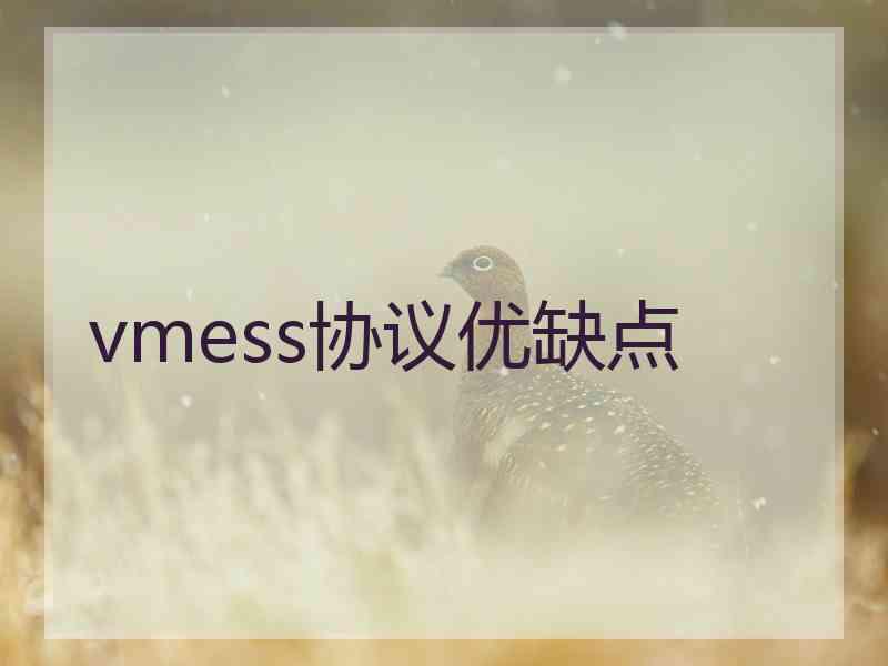 vmess协议优缺点