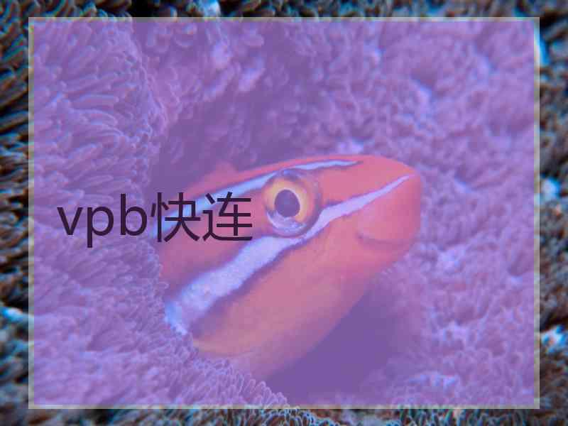 vpb快连