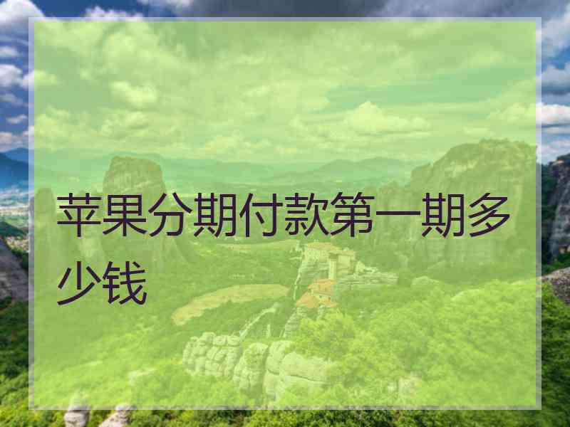 苹果分期付款第一期多少钱