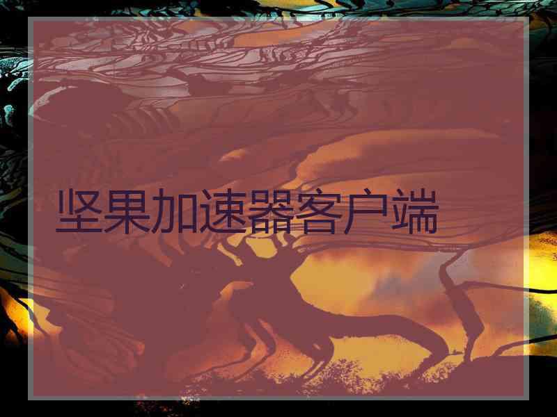 坚果加速器客户端