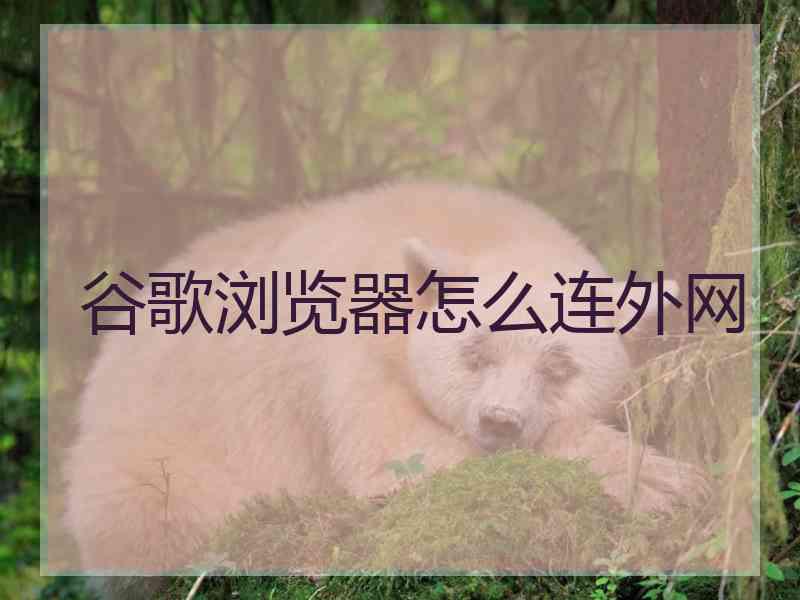 谷歌浏览器怎么连外网
