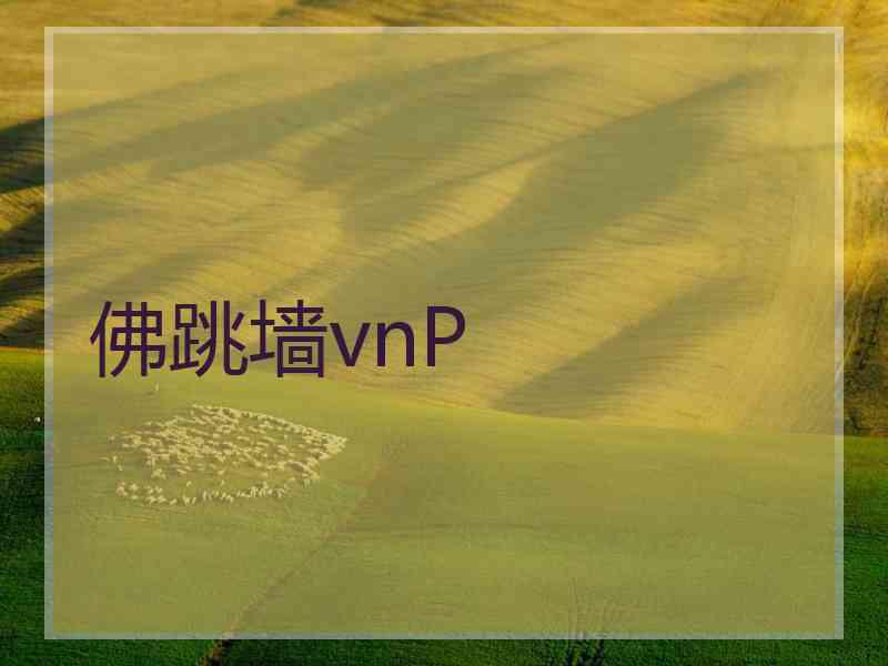 佛跳墙vnP