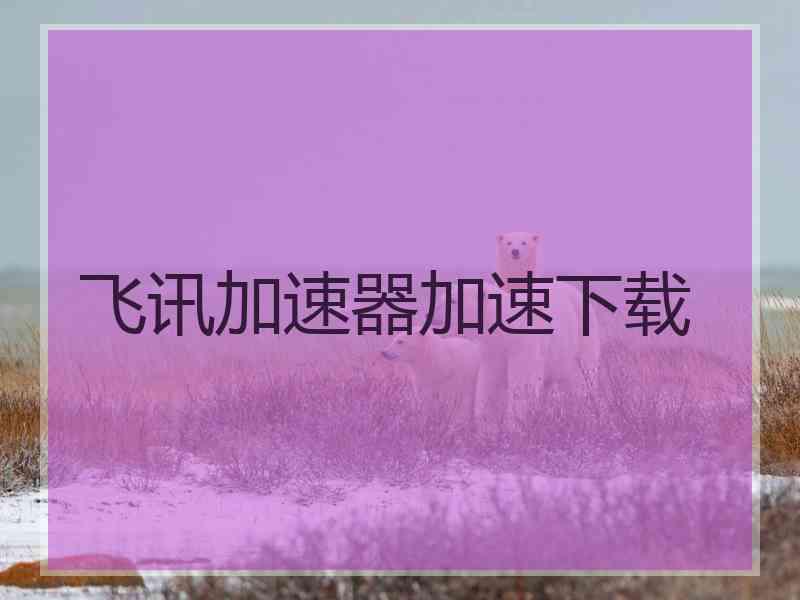 飞讯加速器加速下载
