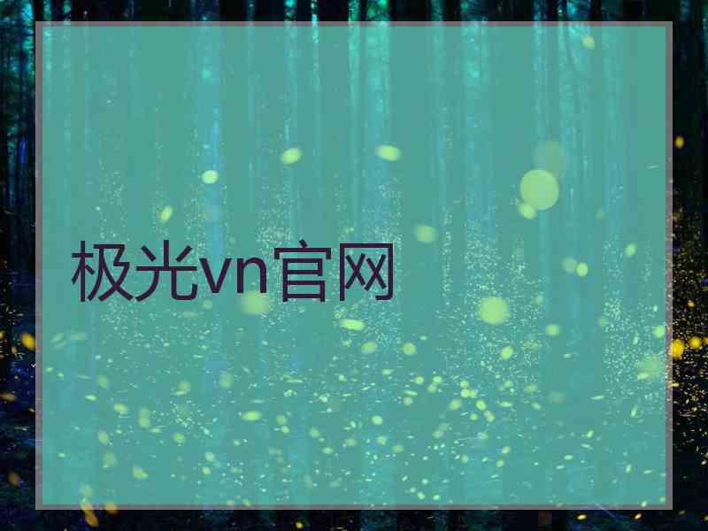 极光vn官网