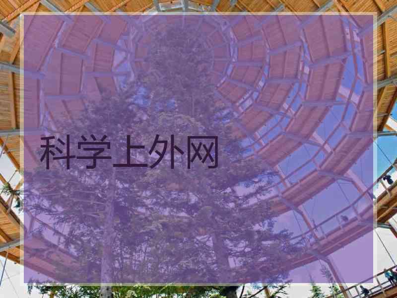 科学上外网