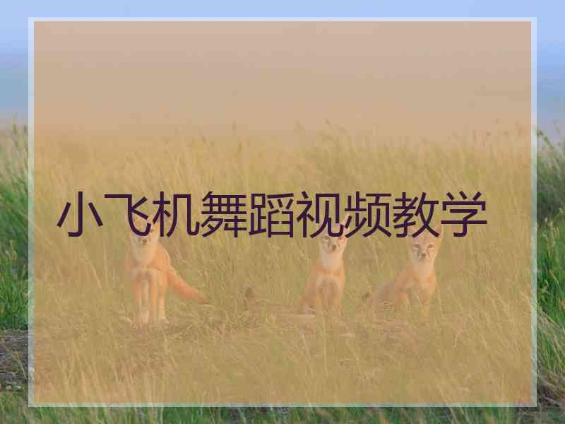 小飞机舞蹈视频教学