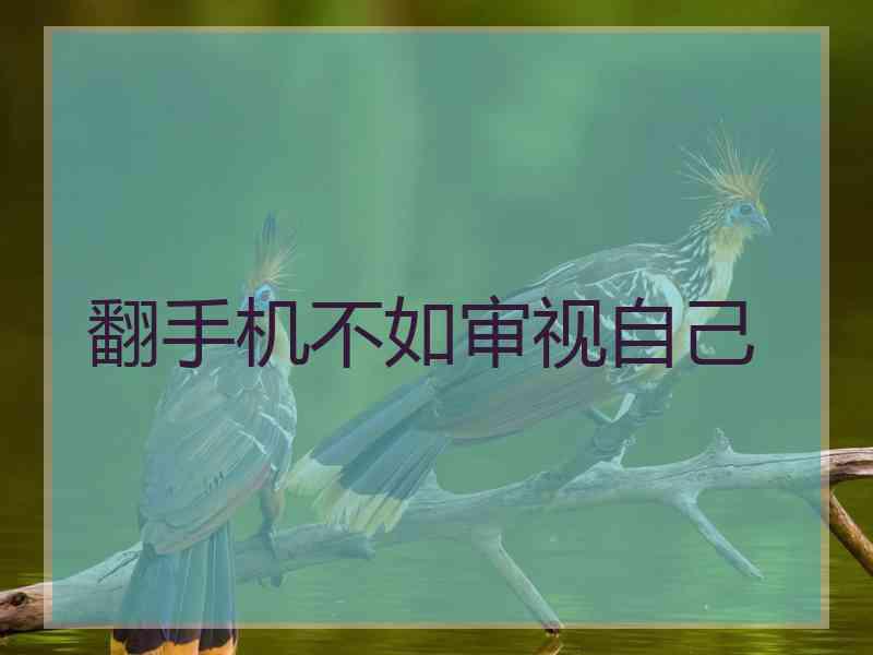 翻手机不如审视自己