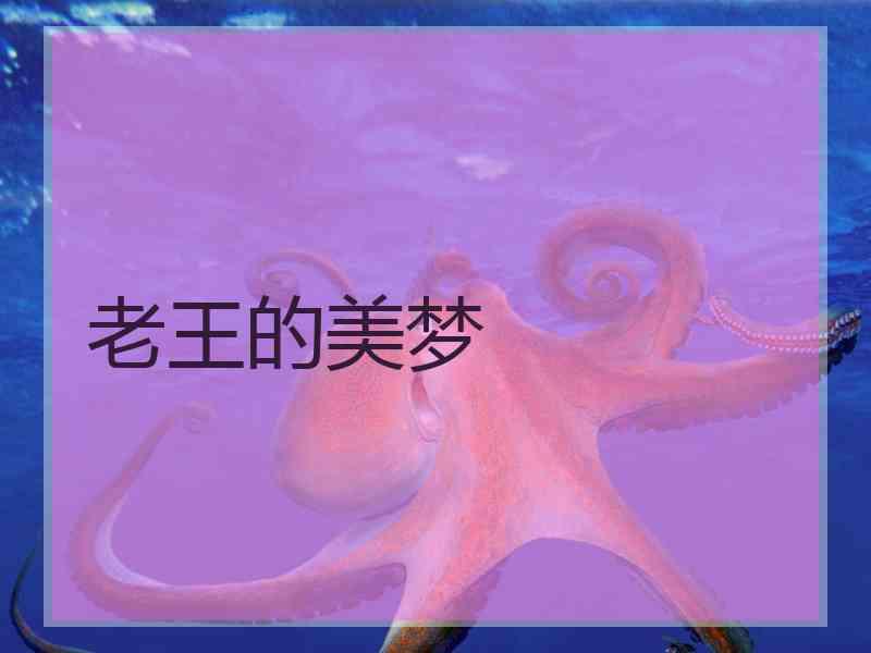 老王的美梦
