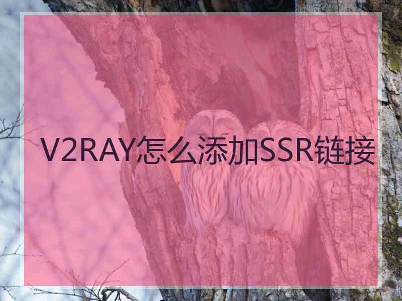 V2RAY怎么添加SSR链接