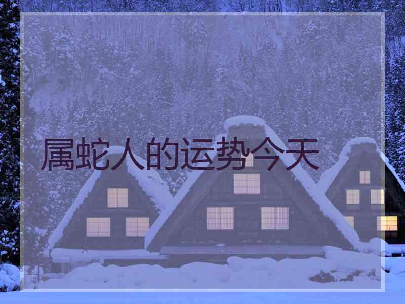 属蛇人的运势今天