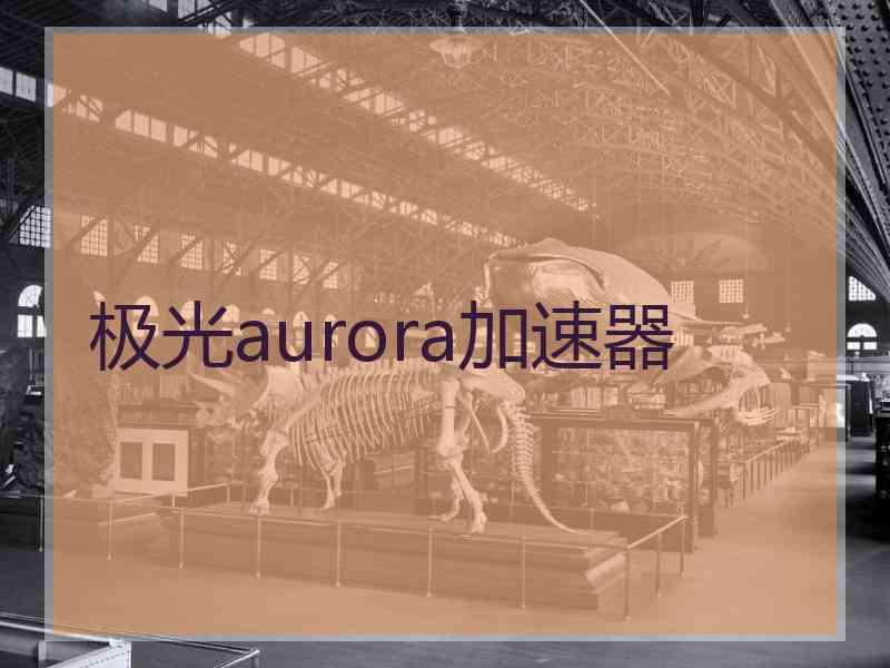 极光aurora加速器