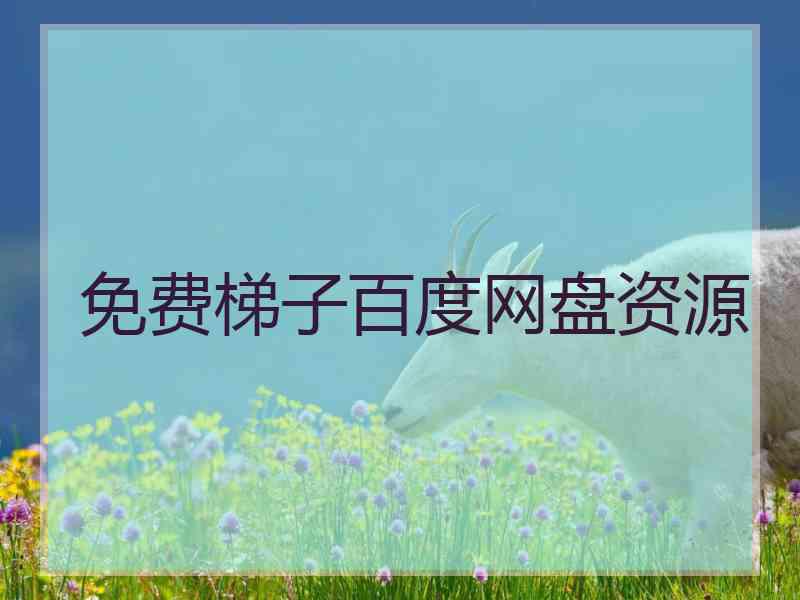 免费梯子百度网盘资源