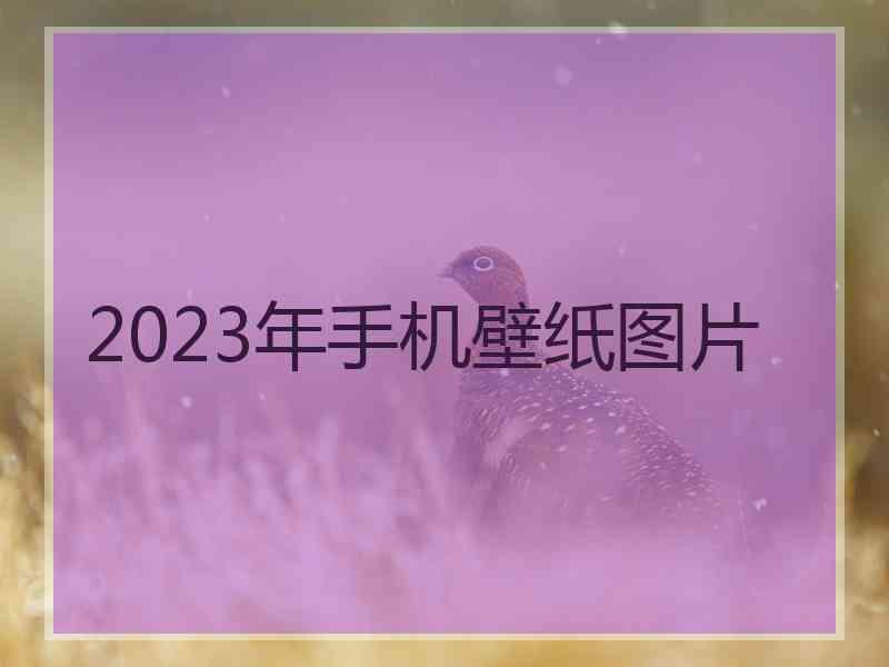 2023年手机壁纸图片