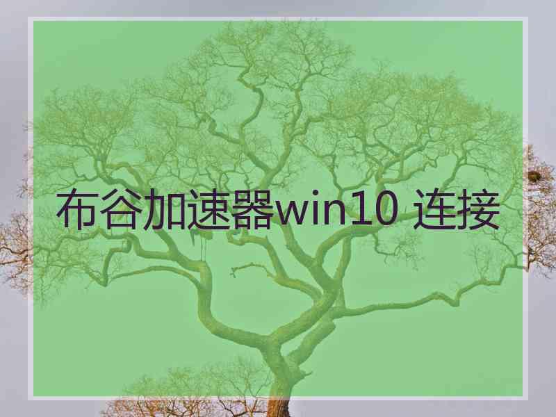 布谷加速器win10 连接