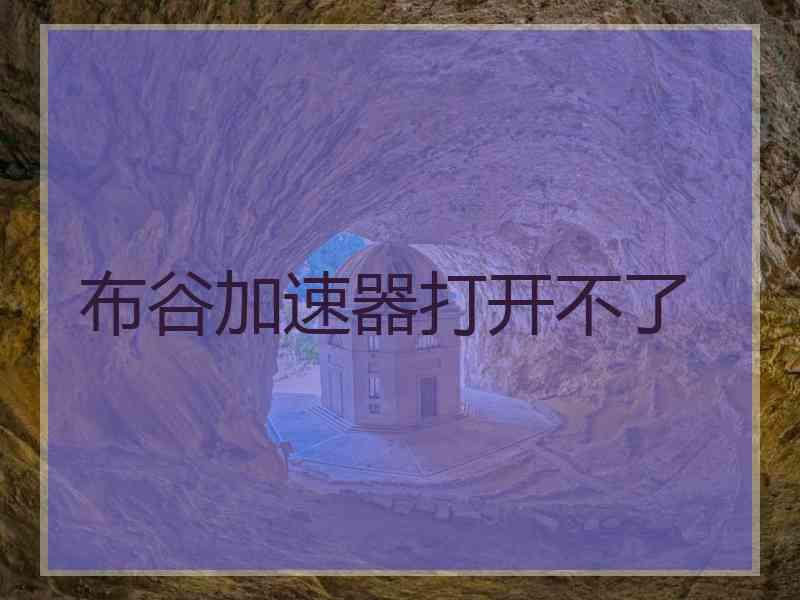 布谷加速器打开不了