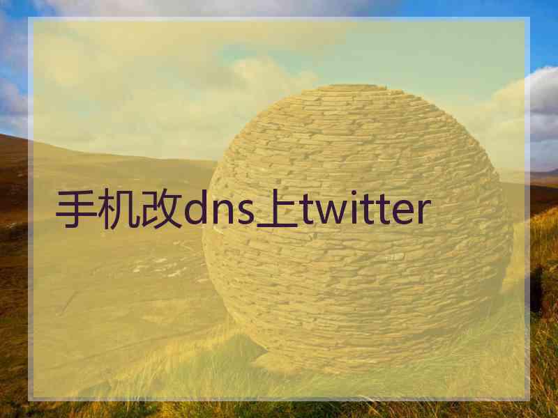 手机改dns上twitter