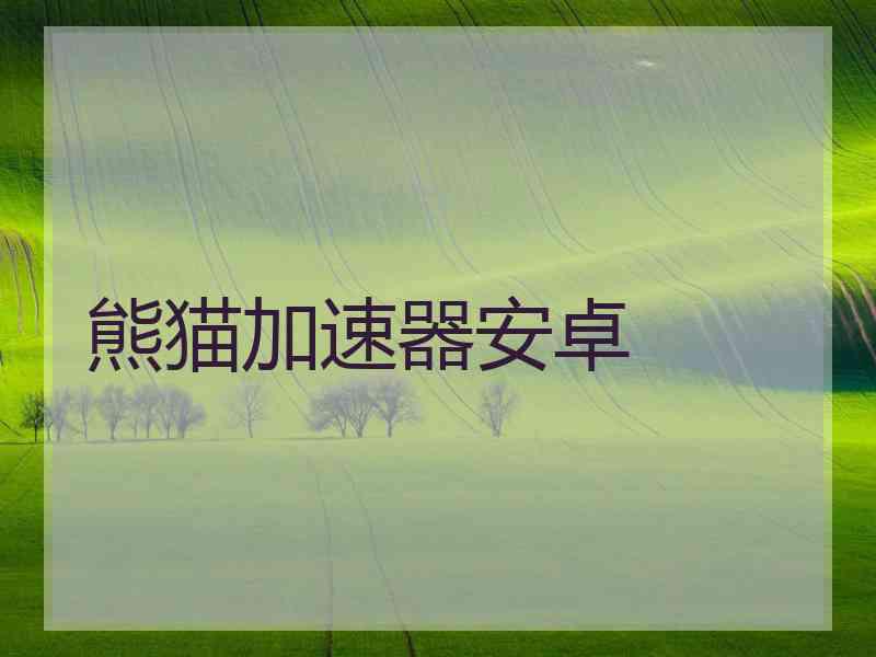 熊猫加速器安卓
