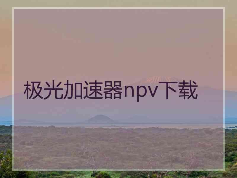 极光加速器npv下载