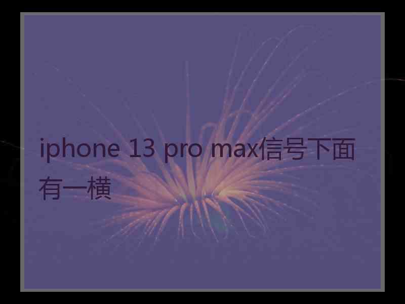 iphone 13 pro max信号下面有一横