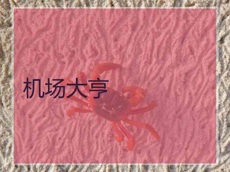 机场大亨