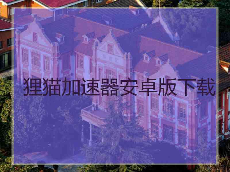 狸猫加速器安卓版下载