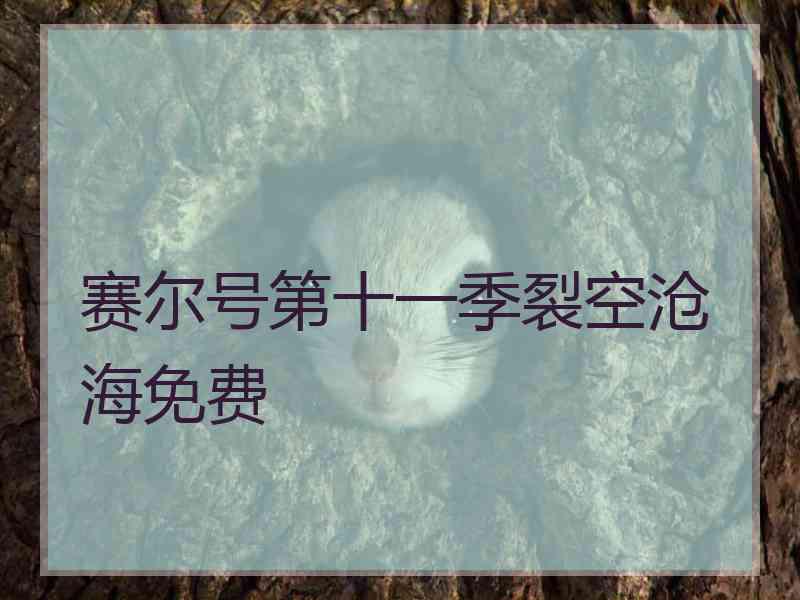 赛尔号第十一季裂空沧海免费