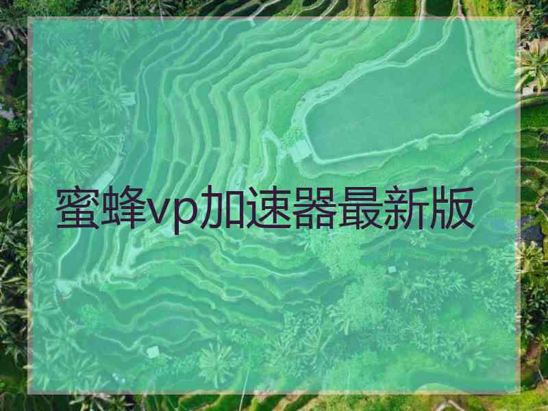蜜蜂vp加速器最新版