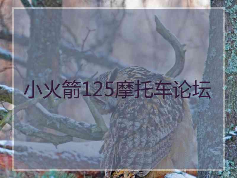 小火箭125摩托车论坛
