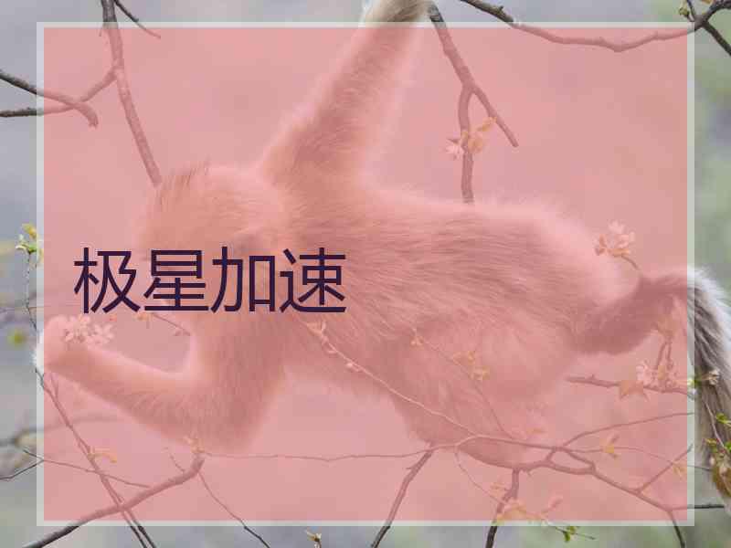 极星加速