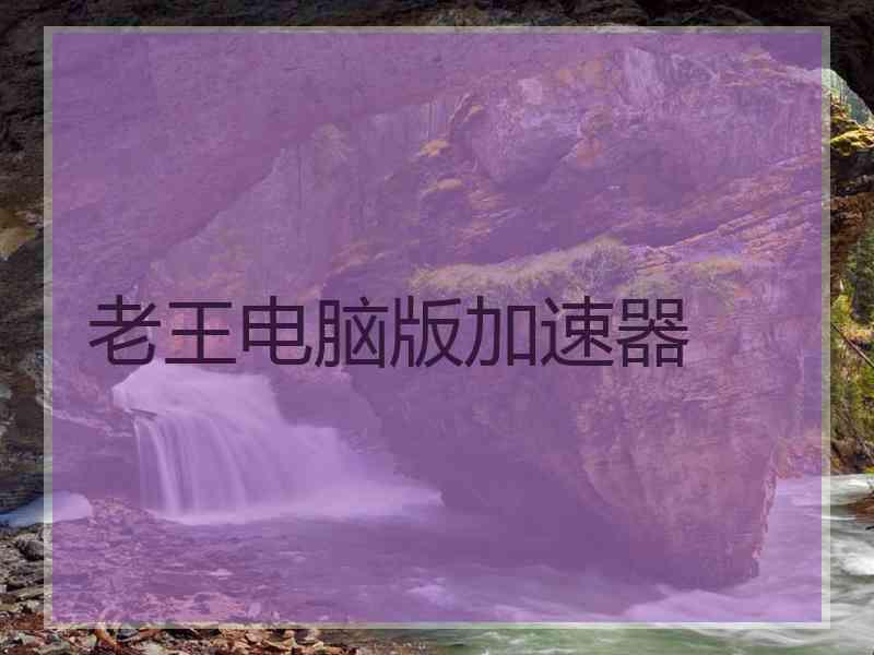 老王电脑版加速器