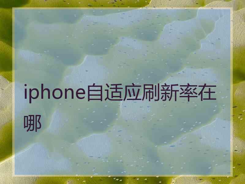 iphone自适应刷新率在哪